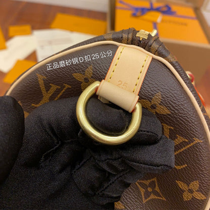 LV Speedy Bandoulière 25 Monogram M41113 Bag