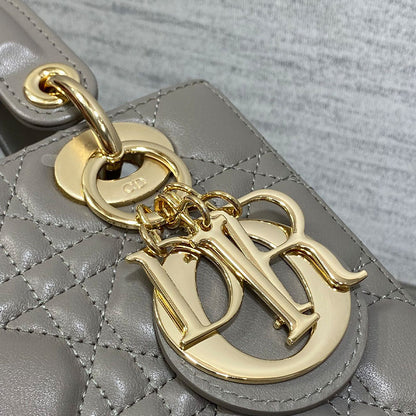 Small Lady Dior My ABCDior Elephant Gray Tote Bag